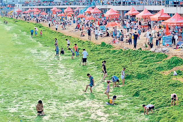 Noaptea strâng algele, ziua sunt la loc