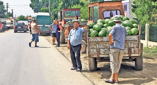 Avem recoltă bogată de grâu, dar pâinea nu se ieftineşte