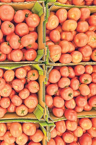 Avem recoltă bogată de grâu, dar pâinea nu se ieftineşte