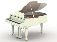 Iată cum va fi la nunta lui Borcea!