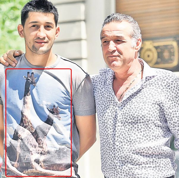 Tricoul lui Florin Costea, imprimat cu girafele “sexoase” , l-a enervat pe patronul Gigi Becali Tricoul lui Florin Costea, imprimat cu girafele “sexoase” , l-a enervat pe patronul Gigi Becali