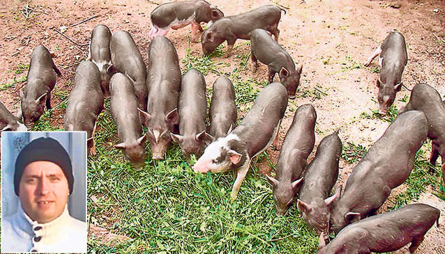 Uite ce le-a dat prin cap să crească!