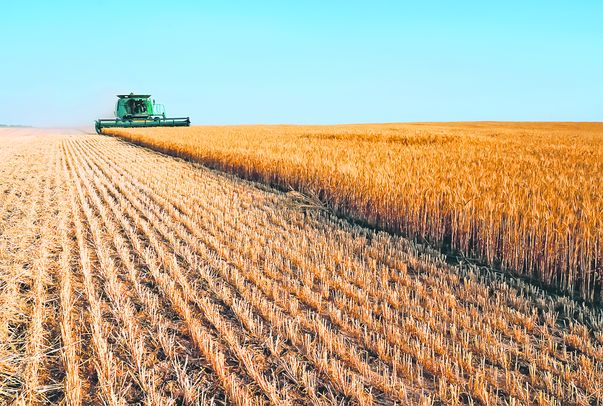 Combinele au avut ce recolta anul acesta