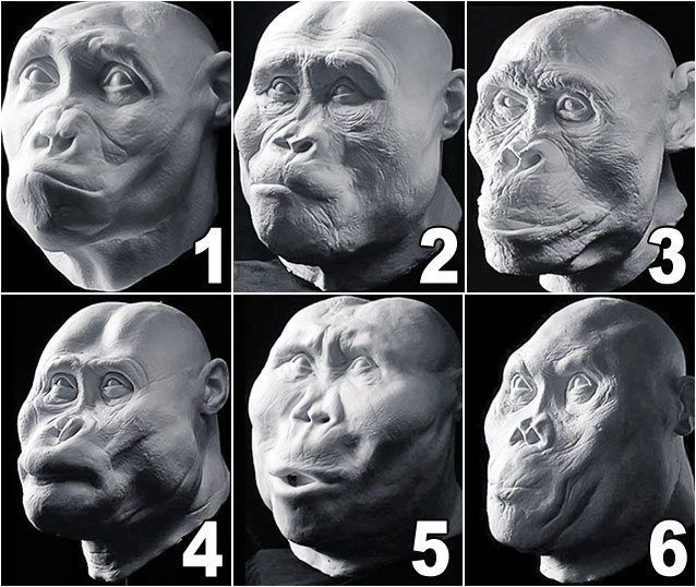 Foto | Uite cum arătau strămoșii noștri!