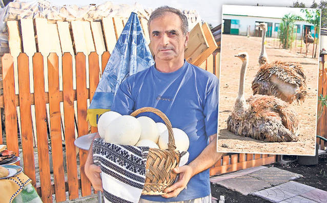 Uite ce le-a dat prin cap să crească!