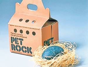 Piatra “animal de companie” se vinde ambalată într-o cutie