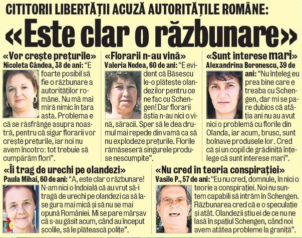 Ne războim cu florile olandezilor?