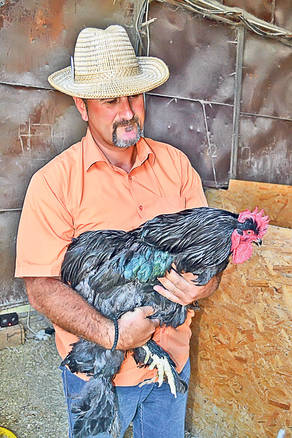 Uite ce le-a dat prin cap să crească!