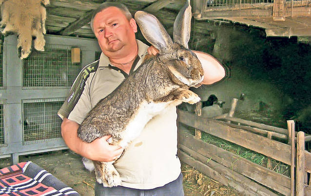 Uite ce le-a dat prin cap să crească!