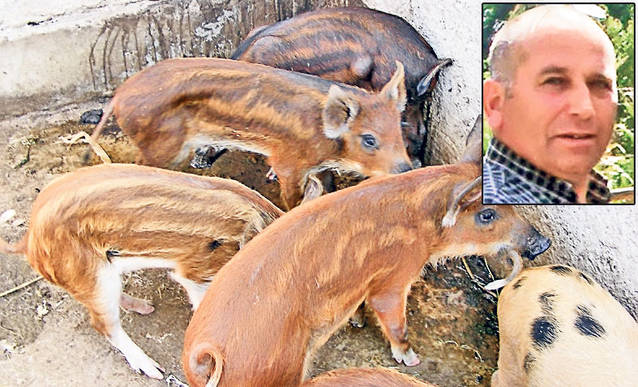 Uite ce le-a dat prin cap să crească!