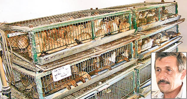 Uite ce le-a dat prin cap să crească!