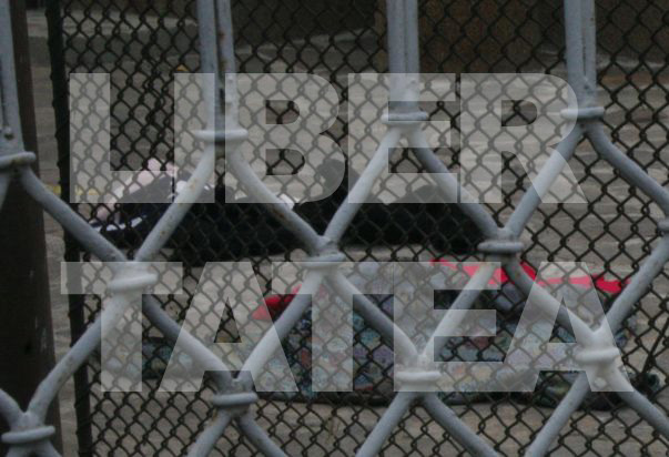 Scandal din nou! Dinu Damaschin a venit după Moni: "Ieşi să-ţi dau boarfele înapoi"