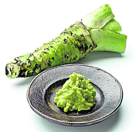 Cele mai trăsnite descoperiri au fost premiate cu trofeul IgNobel