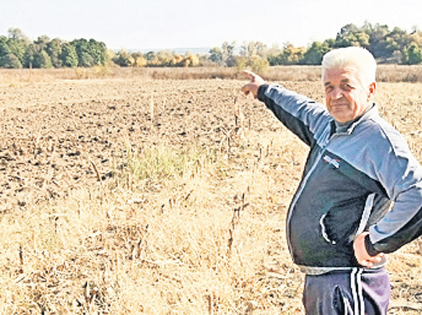 Eugen «Puiaţă» Nemoiu, cel mai bun prieten din copilărie al lui Dumitru Dragomir, povesteşte cum a plecat «Corleone» de la Bălceşti, satul natal: «A legat vaca de pom şi dus a fost»