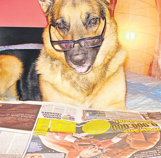 Ciobănescul german Achile a câştigat pentru stăpânii lui o excursie la Poiana Braşov.