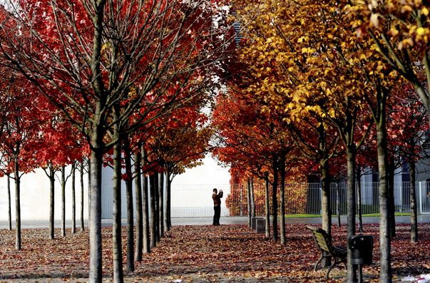 Foto | Uite ce frumoasă e toamna la noi, dar şi în alte ţări!