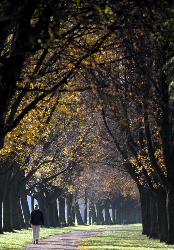 Foto | Uite ce frumoasă e toamna la noi, dar şi în alte ţări!