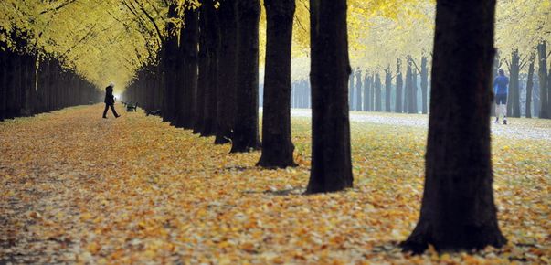 Foto | Uite ce frumoasă e toamna la noi, dar şi în alte ţări!