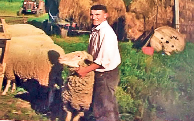 Unul dintre nepoții familiei decimată în accidentul din Ungaria: «Trebuia să vin şi eu cu microbuzul morţii»