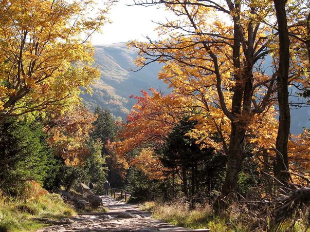 Foto | Uite ce frumoasă e toamna la noi, dar şi în alte ţări!