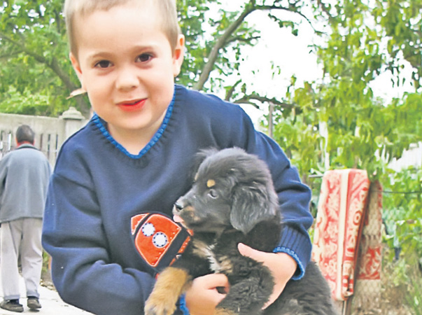 Răzvan Lungu este un băieţel din Bucureşti şi are 5 ani. Iubeşte foarte mult animalele şi nu iese niciodată la plimbare fără căţeluşa lui, Selena.