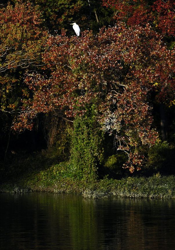 Foto | Uite ce frumoasă e toamna la noi, dar şi în alte ţări!