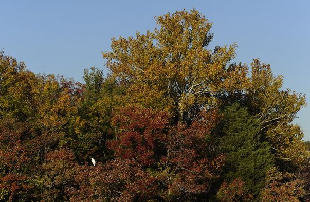 Foto | Uite ce frumoasă e toamna la noi, dar şi în alte ţări!