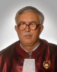 Vezi cum motivează judecătorii Curţii Constituţionale lăsarea pe străzi a maidanezilor!