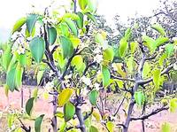 Ieri au fost cu 22 de grade mai mult decât temperatura normală pentru această perioadă