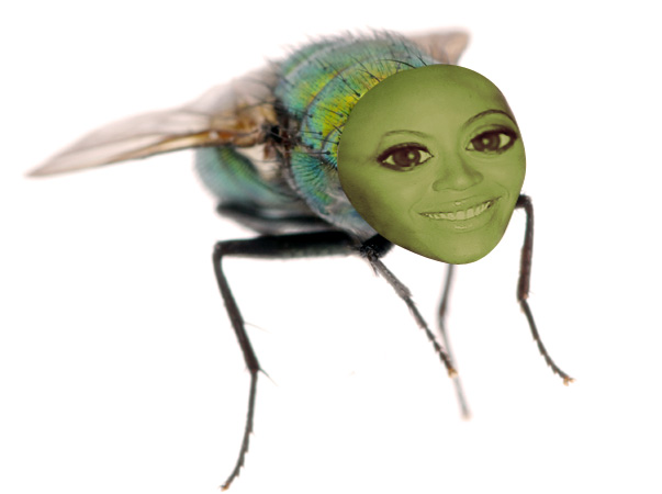 beyonce transmite boli
