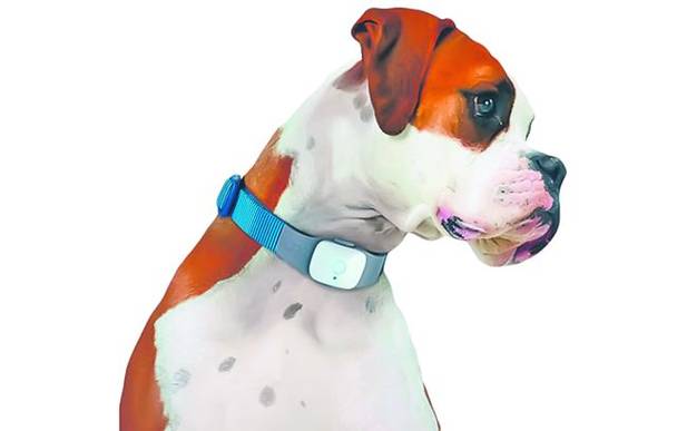 Iată cele mai tari invenţii prezentate la târgul de tehnologie din Las Vegas, SUA