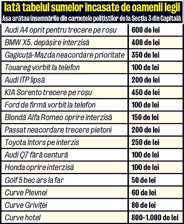 Așa arătau însemnările din carnetele polițiștilor de la Secția 3 din Capitală
