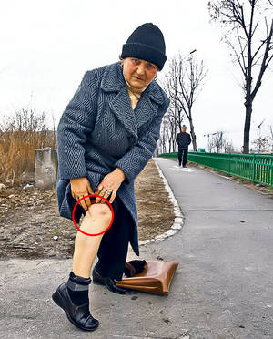 Ei i-au salvat pe maidanezi