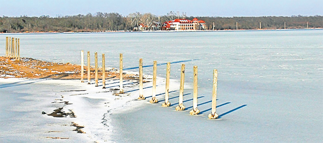 'Îi las cojocul meu cățelușei, ca să nu moară de frig' | VIDEO