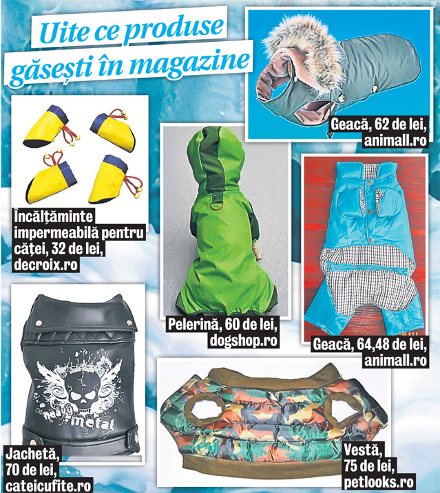 Protejează-ţi căţelul în această perioadă foarte rece. Nu-l ţine în ger şi nu-l lăsa să mănânce zăpadă