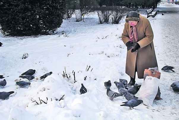Au descarcerat lebăda din lacul îngheţat