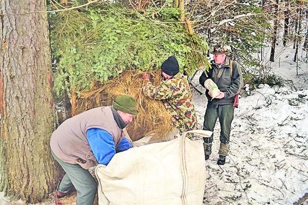 Au descarcerat lebăda din lacul îngheţat