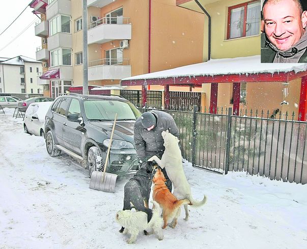 Bodo (foto mic) le dă drumul afară câinilor, ca să se joace (stânga). Patrupezii nu vor însă să se joace decât cu el
