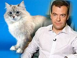 medvedev