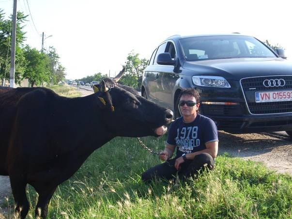 Ce nebunii fac vedetele noastre!  