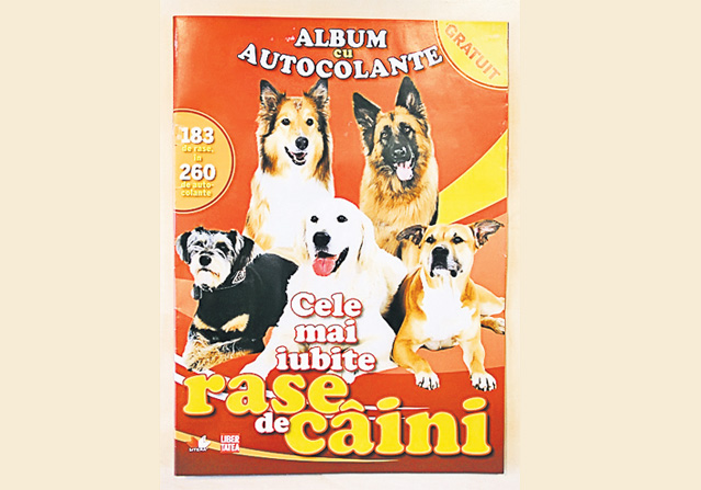 Pregăteşte-ţi animalul de companie pentru vară. 5 sfaturi ca să ai un câine fericit