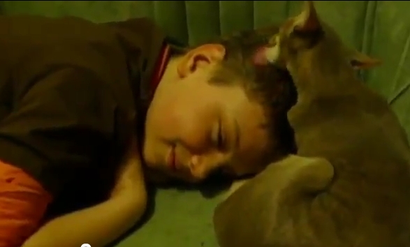 UITĂ DE MĂTREAŢĂ! S-a descoperit LEACUL. Iată ce trebuie să faci | VIDEO