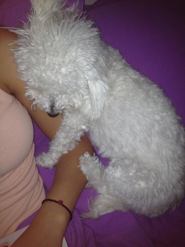 Află pe cine IUBEŞTE cel mai mult Adelina Pestriţu! | FOTO