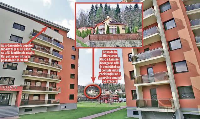 Tripleţii Nicoletei vor sta «gard în gard» cu părinţii lor... când vor fi mari 