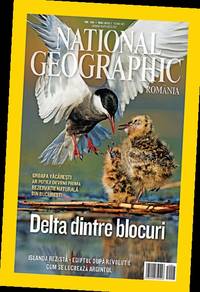 Uite delta din mijlocul Bucureștiului!