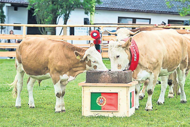 Euro-animalele | FOTO