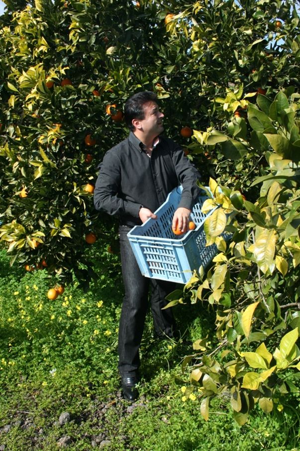 Românii care muncesc într-o livadă din Sicilia, Italia, ridică o tonă şi jumătate de portocale pe zi pentru 50 de euro