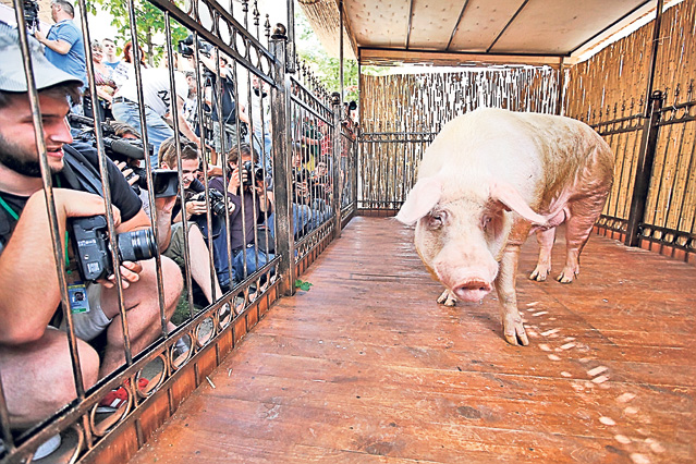 Euro-animalele | FOTO