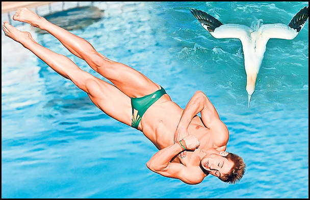 Animalele sunt capabile de performanţe superioare celor mai tari sportivi din lume