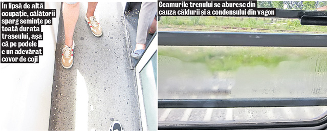 Ne-am fiert în trenul groazei la 36°C! Reporterii Libertăţii au mers cu o garnitură CFR într-una dintre cele mai călduroase zile ale acestei veri | VIDEO